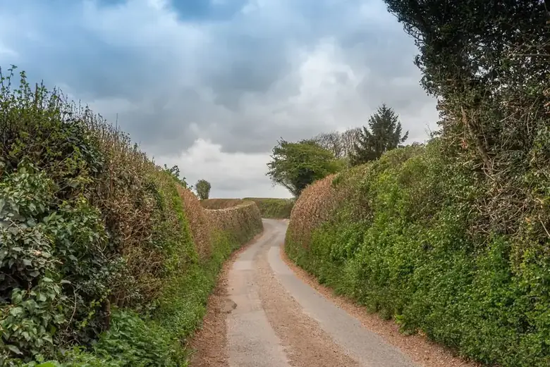 Narrow rural lane bounded by hedgerows, the kind of Cornish access that decides how waste and materials are moved
