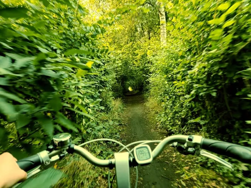 Handlebar view along a leafy, traffic-free cycle trail of the kind the Camel Trail is famous for