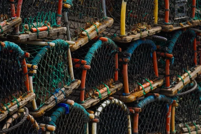 Wooden lobster pots stacked on a harbourside, the working side of Cornwall's shellfish industry